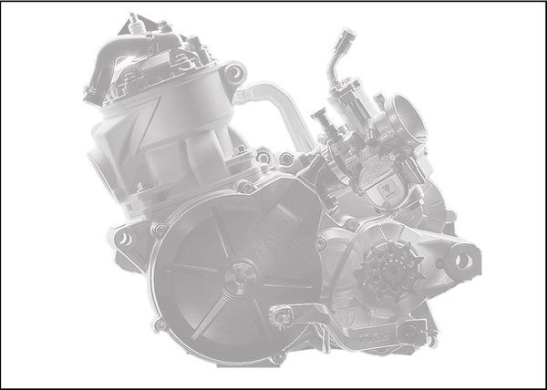 TRS Motorcylce Engine - MOTOR & MOTORTEILE - BikeSmith