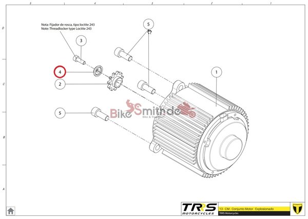 TRS Bushing sproket electric motor | 13000TE100